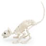 Bmmff Halloween cat skeleton, 13 in, posable joints