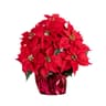 Nearly Natural 19 in red artificial Christmas poinsettia in wrapped planter