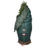 TreeKeeper large upright tree storage bag