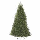 National Tree Company Dunhill Fir, 9 ft, unlit, 4,026 tips, 66 in wide