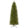 Puleo International Fraser Fir pencil tree, 7 ft, unlit