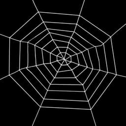 Giant round spider web rope prop