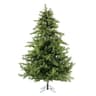 Fraser Hill Farm Foxtail Pine, 9 ft, unlit, with stand