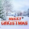 Merry Christmas letter yard signs, 14 pieces, 16 in, weather resistant with stakes
