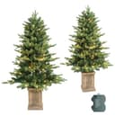 HomeKaren pre-lit porch trees, 4 ft, 2 pack, 100 LEDs each, timer