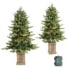 HomeKaren pre-lit porch trees, 4 ft, 2 pack, 100 LEDs each, timer