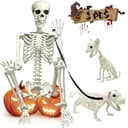 WODMAZ posable skeleton with dog and cat skeletons, 5.4 ft
