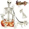 WODMAZ posable skeleton with dog and cat skeletons, 5.4 ft