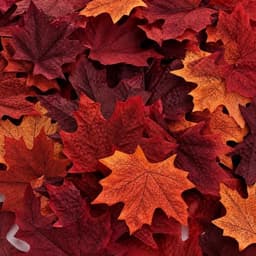 Factory Direct Craft fall maple leaves, mixed autumn colors