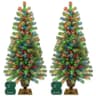 Potted porch trees, 4 ft, 2 pack, 60 LEDs, warm white or color