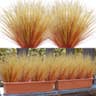 Betylifoy artificial fall wheat grass, 20 pieces