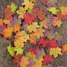 Kubert fake fall leaves, 1,000 pieces, assorted maple