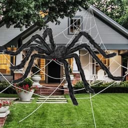 Spider web, 200 in, with 59 in giant spider