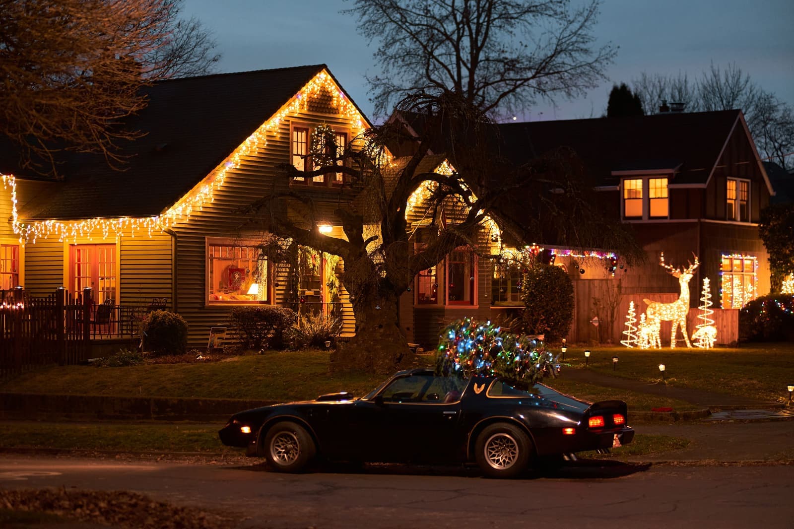 A house outlined in warm string lights at dusk, seen from the street