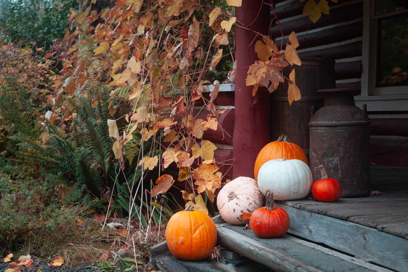 Autumn leaves and pumpkins on wooden porch steps