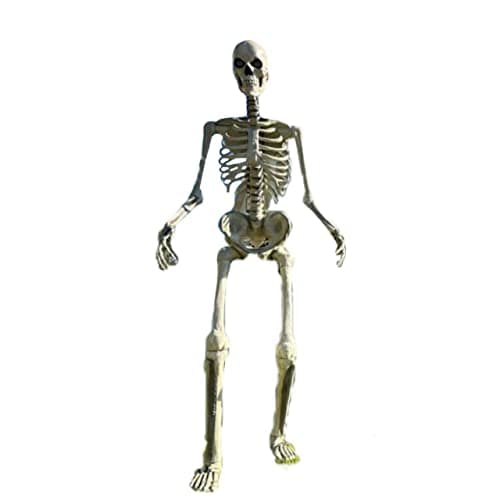 Home Accents 12 ft Giant-Sized Skeleton with LifeEyes
