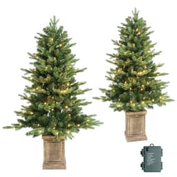 HomeKaren pre-lit porch trees, 4 ft, 2 pack, 100 LEDs each, timer