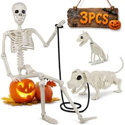 Posable skeleton with dog and cat, 36 in