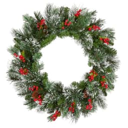 National Tree Company Wintry Pine flocked wreath, 24 in, pre-lit