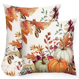 Waterproof fall pillow covers, 18 x 18 in, set of 2