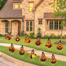 Fanboxk Thanksgiving yard signs, 11 piece