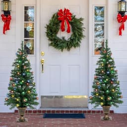 Urn porch trees, 4 ft, set of 2, 100 multicolor LEDs