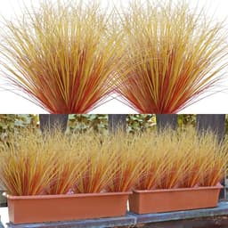 Betylifoy artificial fall wheat grass, 20 pieces